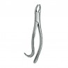 Forcep No. 18L.