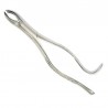 Forcep No. 24.